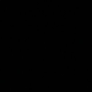 Meet your Posher, Pedro